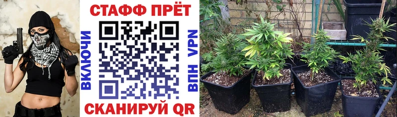 Хочу наркоту Губаха Каннабис  Alpha-PVP  Гашиш  АМФ  Cocaine 