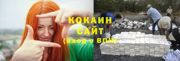 индика Балабаново