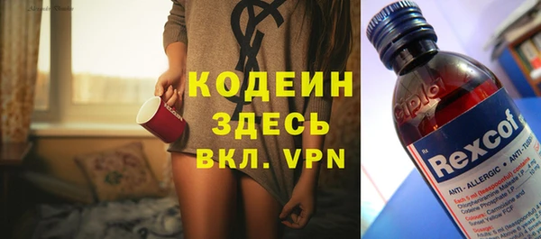 индика Балабаново