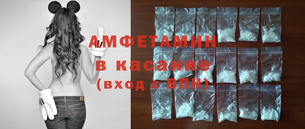 индика Балабаново