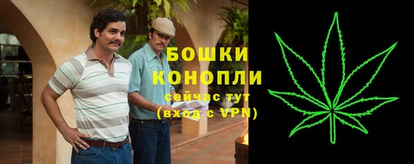 сатива Баксан