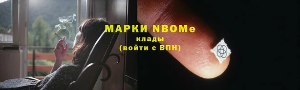 индика Балабаново