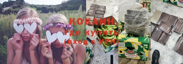 сатива Баксан