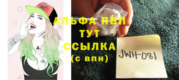индика Балабаново