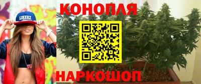 a pvp Бийск