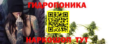 a pvp Бийск