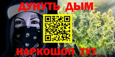 a pvp Бийск