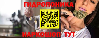 a pvp Бийск