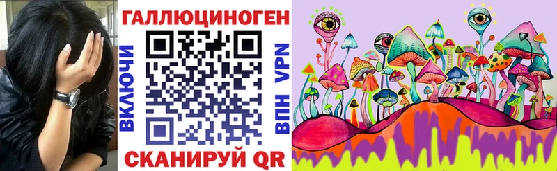Псилоцибиновые грибы Psilocybe  Губаха 