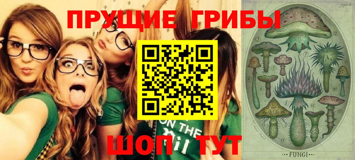 Гашиш  Губаха  Мефедрон   Купить наркотики цена  Кокаин  ГАШИШ  Конопля 