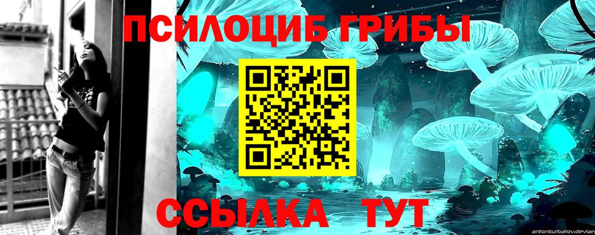 Псилоцибиновые грибы Psilocybe  Вход с VPN  Губаха 