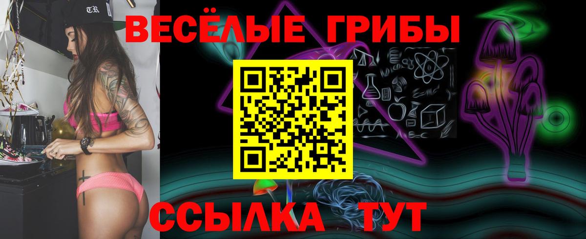 Галлюциногенные грибы Psilocybine cubensis Губаха