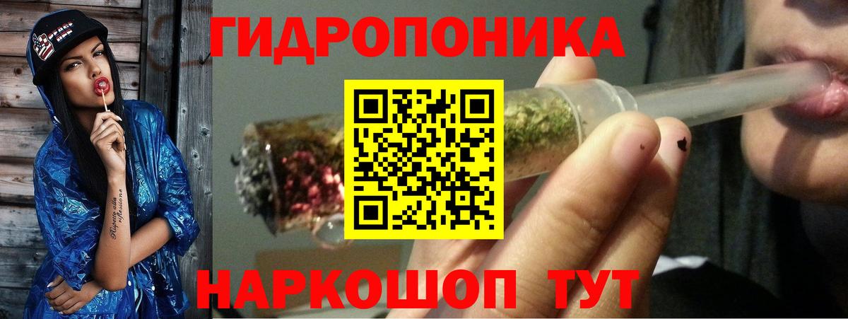 Марихуана план  Марихуана Bruce Banner  Губаха  Бошки марихуана планчик  Вход с VPN 